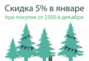 Получите 5% скидки на покупки в новом году!